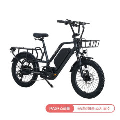 [레이윙] 캐리 전기자전거 CARRY_25A (팬텀블랙)