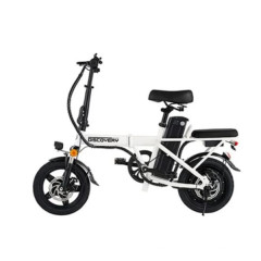 [레이윙] 디스커버리 F14E 전기자전거 10A (세이지그린/팬텀블랙/펄화이트)