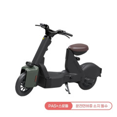 [레이윙] 타입1 전동스쿠터 24A (그린)