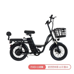 [레이윙] 캐리 미 전기자전거 18.2A (블랙)