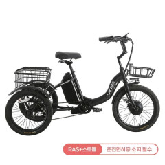 [레이윙] 캐리 이지 접이식 전기자전거 25A (블랙)