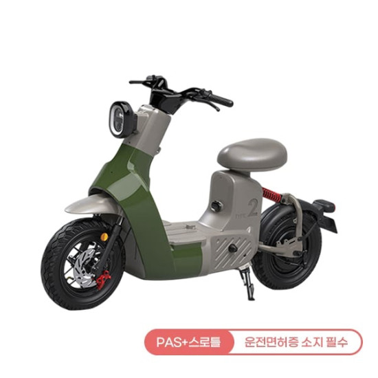 [레이윙] 타입2 전동스쿠터 24A (그린)